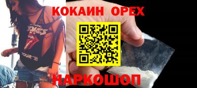 спайс Кингисепп