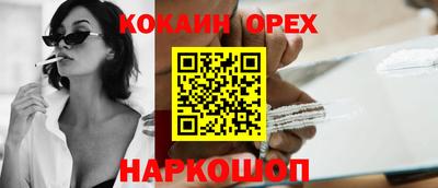 спайс Кингисепп