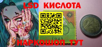 спайс Кингисепп