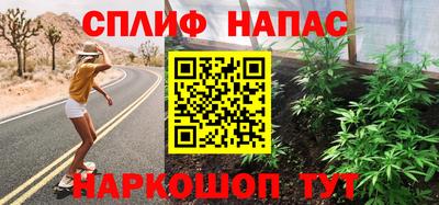 спайс Кингисепп