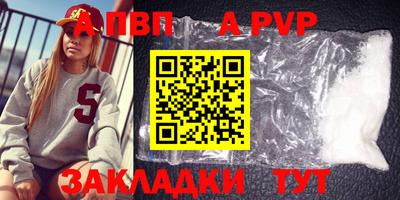 спайс Кингисепп