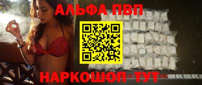 спайс Кингисепп