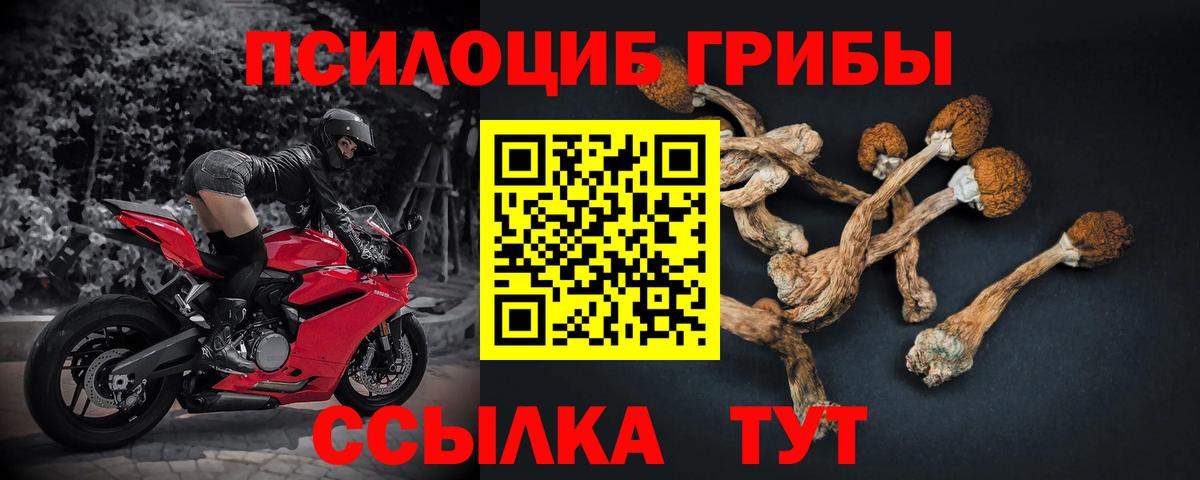 Галлюциногенные грибы Magic Shrooms  Вход с VPN  Златоуст 