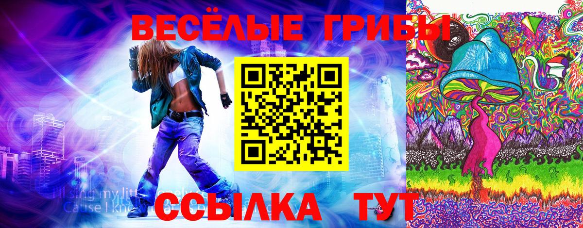 Галлюциногенные грибы мицелий Златоуст